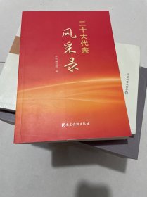 二十大代表风采录