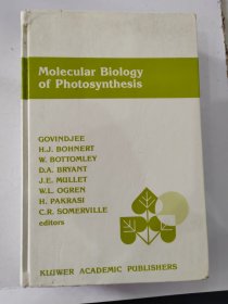 Molecular Biology of Photosynthesis GOVINDJEE H.J.BOHNERT 光合作用的分子生物学 英文原版 超厚815页