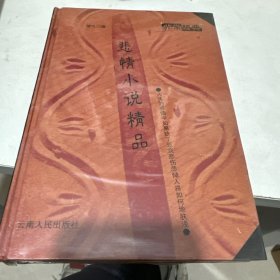 悲情小说精品