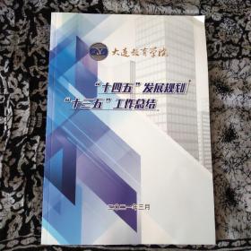 “十四五”发展规划“十三五”工作总结