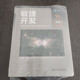 敏捷开发（纪念版）