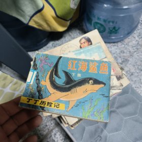 红海鲨鱼下