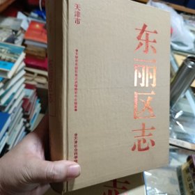 东丽区志