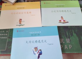 公选王边练边学边积累临摹字帖（共三本，写作材料金句集锦，公文写作精选范文，大作文精选范文）