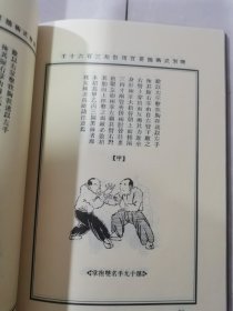古拳谱系列武术丛书：少林破壁