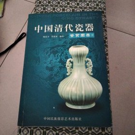 中国清代瓷器鉴赏图录（下）