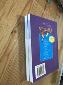 淘气包马小跳系列：寻找大熊猫，小大人丁文涛