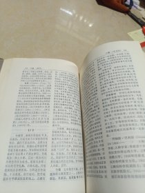 中外民俗学词典