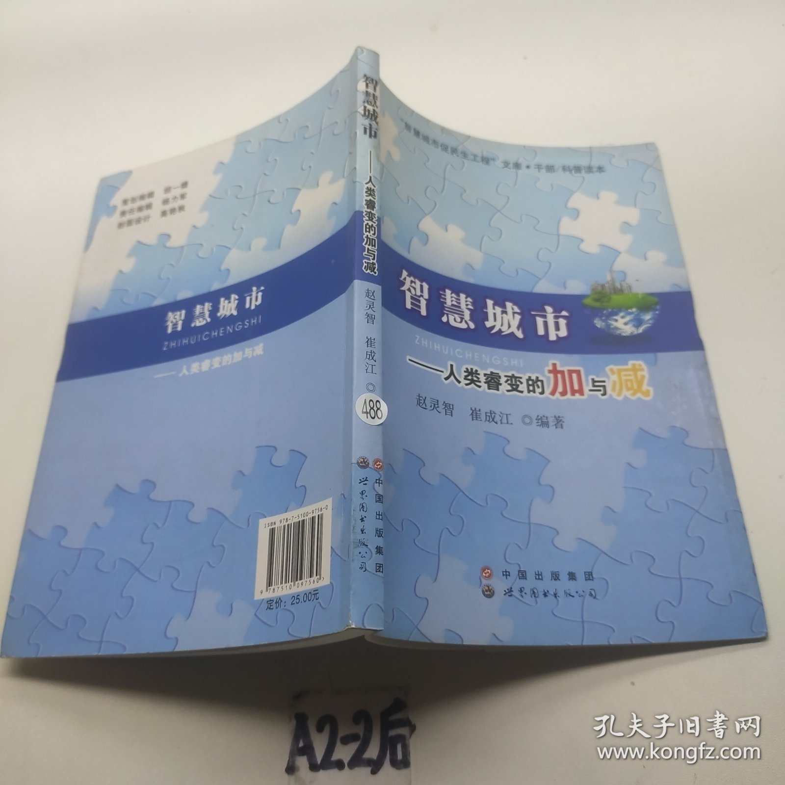 智慧城市 人类睿变的加与减