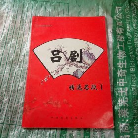 吕剧精选名段 1