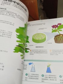 dk图解科学技术与工程DK儿童STEM创新思维培养图解科学dk图书dk图解科学小学思维训练