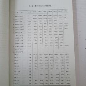 中国农村统计年鉴.1998