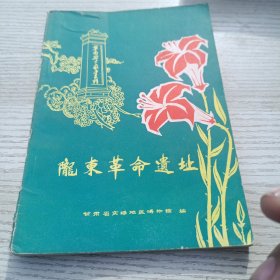 陇东革命遗址