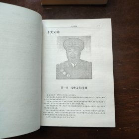 十大元师十大将军