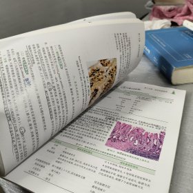 护理应用病理学 周洁 9787117206792 人民卫生出版社