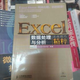 Excel数据处理与分析实战技巧精粹