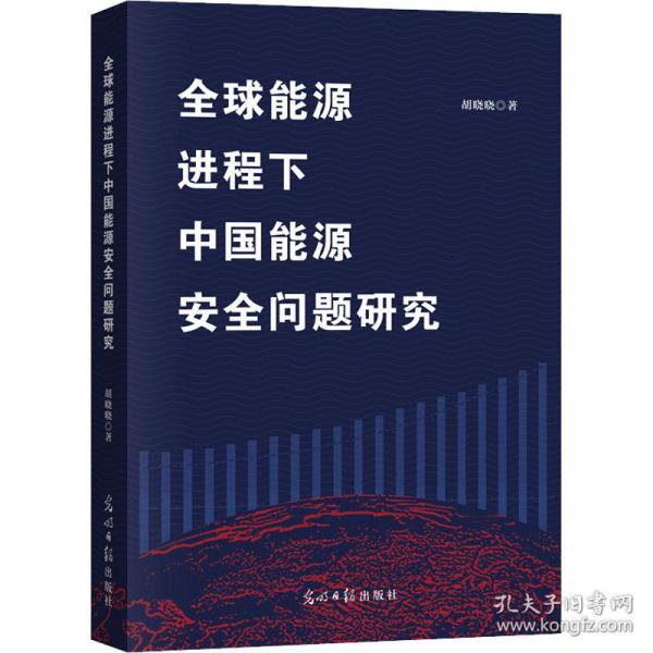 全球能源进程下中国能源安全问题研究 经济理论、法规 胡晓晓 新华正版