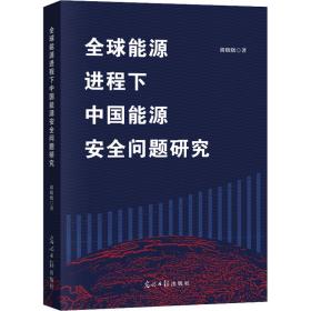 全球能源进程下中国能源安全问题研究 经济理论、法规 胡晓晓 新华正版