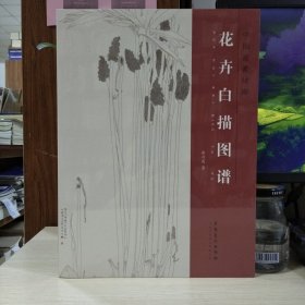 中国画素材库：花卉白描图谱