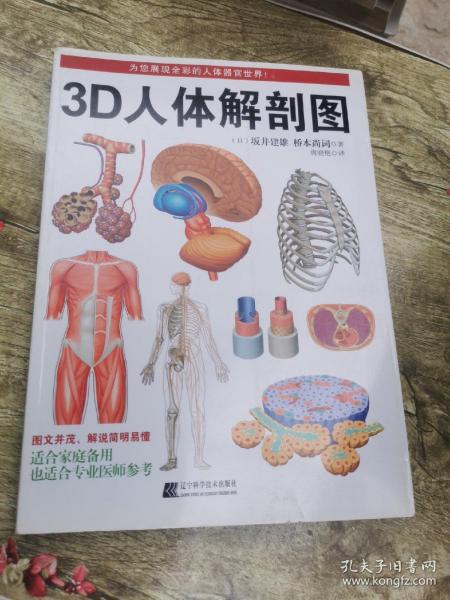 3D人体解剖图