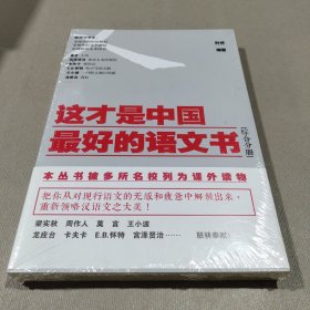 这才是中国最好的语文书：综合分册