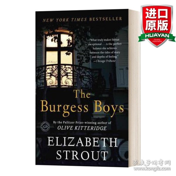 The Burgess Boys  A Novel