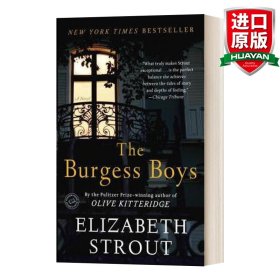 The Burgess Boys  A Novel