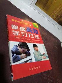 掌握高效学习方法——提高您孩子的学习成绩系列丛书