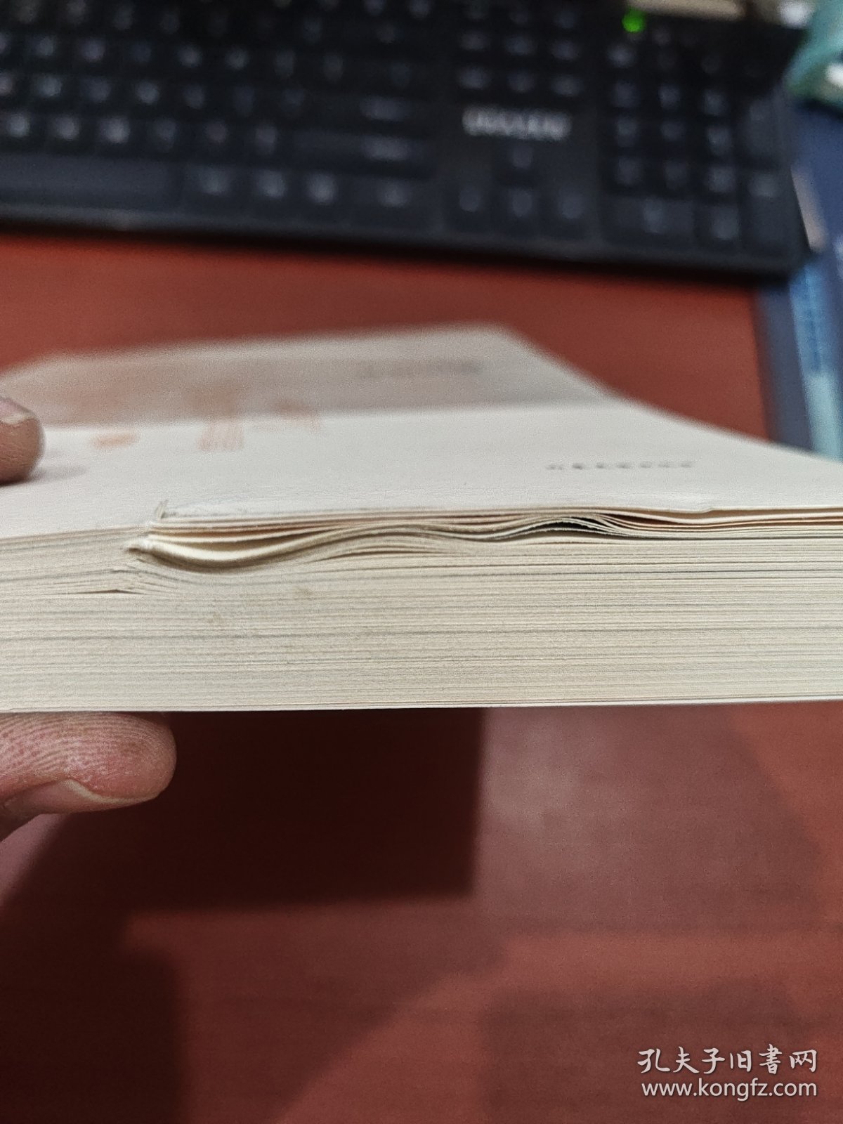 万物闪耀/文学鲁军新锐文丛