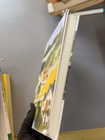 锯口 人生只有一次，去做自己喜欢的事（新版）[美]摩西奶奶著；姜雪晴