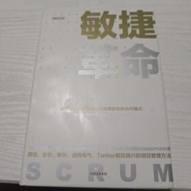 敏捷革命:提升个人创造力与企业效率的全新协作模式