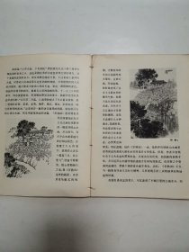 砚边点滴，钱松喦画选 “2册合售”