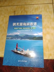 钢龙潜海润香港:承建西气东输二线深港海管工程纪实