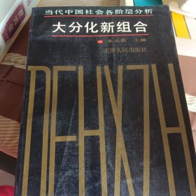 大分化新组合