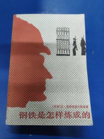 鋼鐵是怎樣煉成的 210211