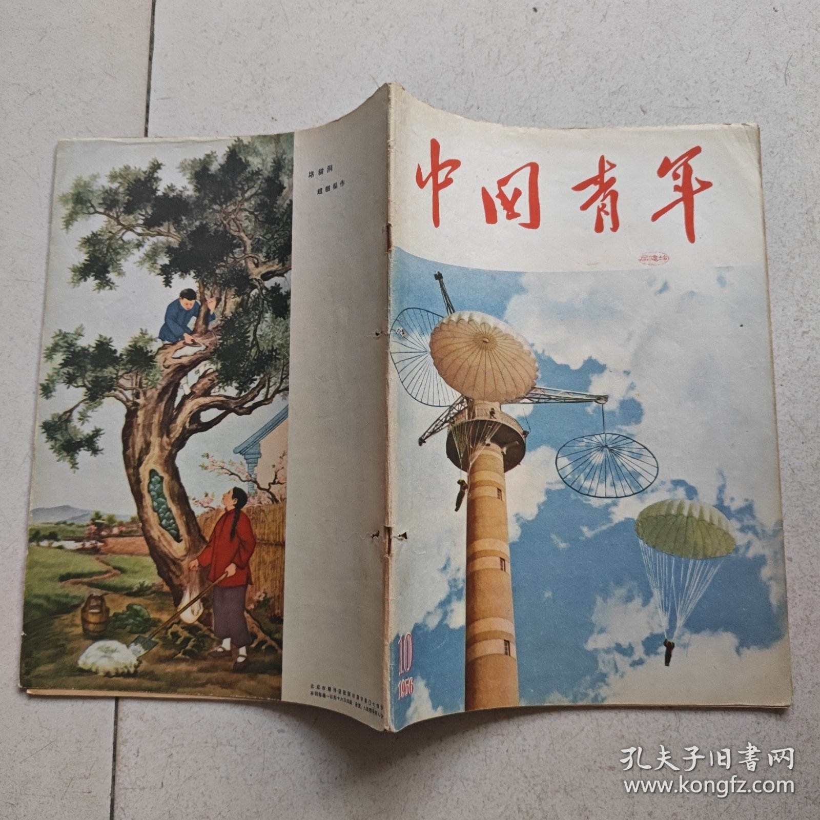 中国青年（1956・10 总第一八五期）