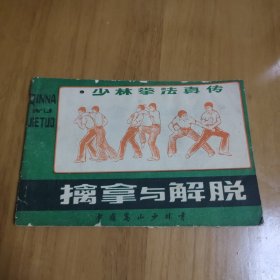 少林拳法真传 擒拿与解脱