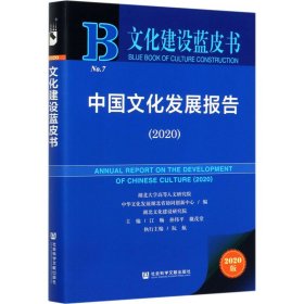 文化建设蓝皮书：中国文化发展报告（2020）