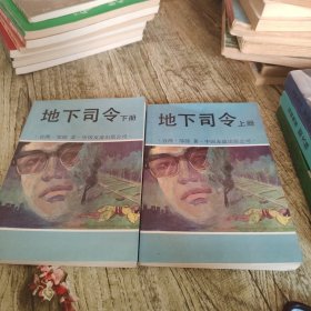 《地下司令》上下