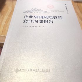 企业集团风险管控会计内部报告