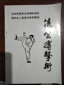 凌云搏击术——传授真正的搏杀绝技、实战功夫