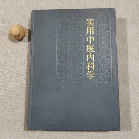 实用中医内科学