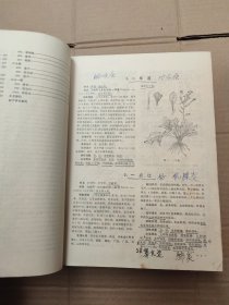 全国中草药汇编（上册）