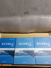湖北省湖泊志 （上中下册）