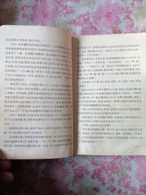 杨家将前传 火山王杨衮