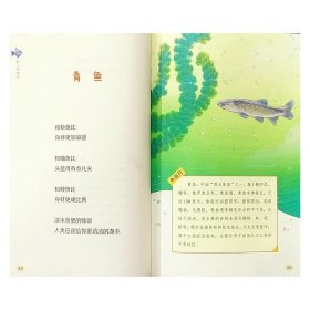 鱼儿的童话