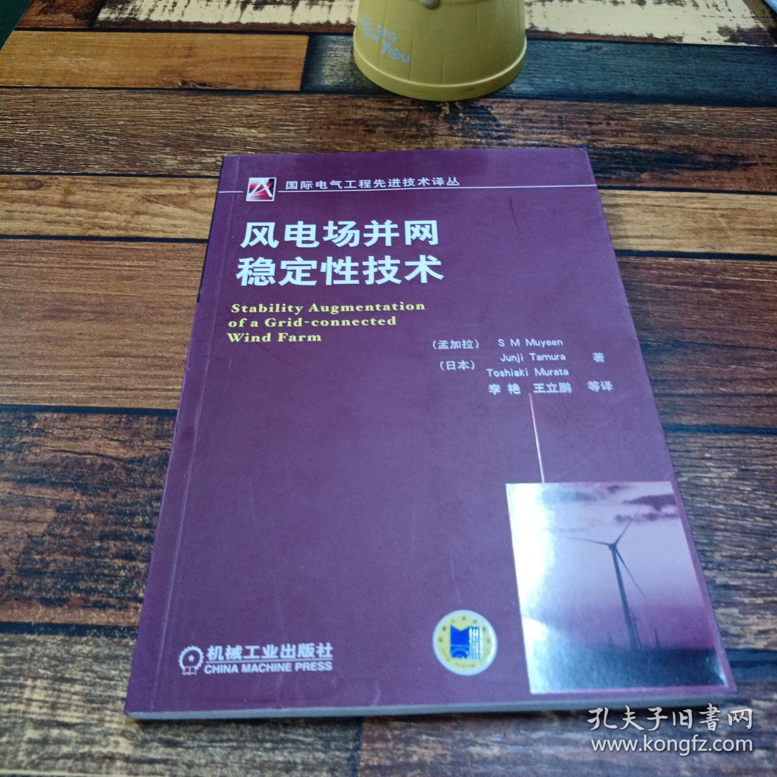 风电场并网稳定性技术