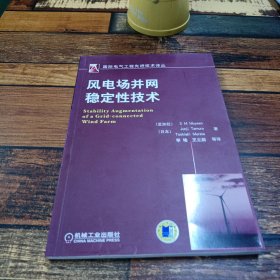 风电场并网稳定性技术