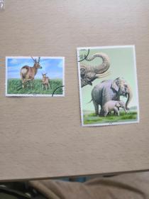 邮票：梅花鹿，亚洲象(LMCB12263)
