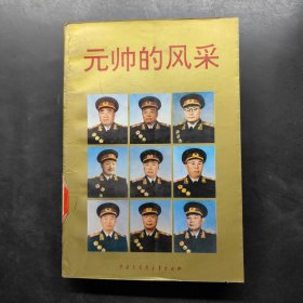元帥的風(fēng)采